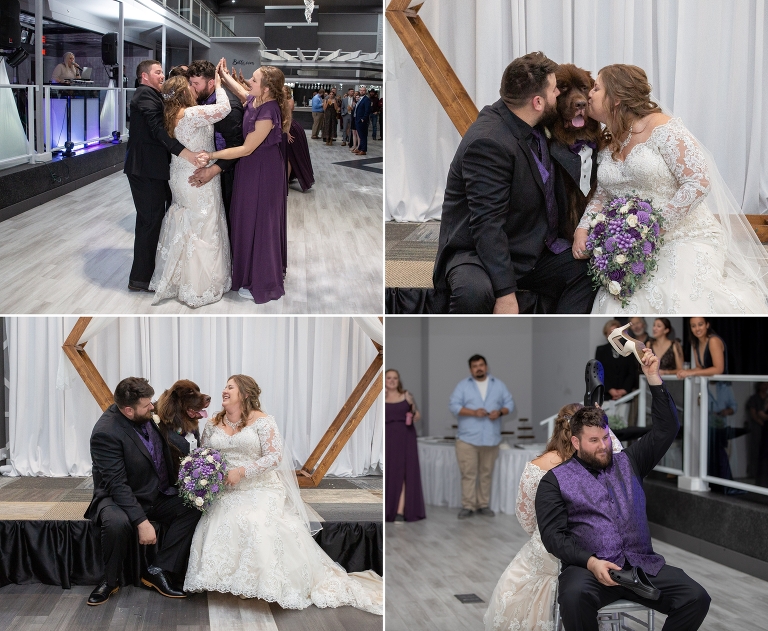 Newfound land puppy love
